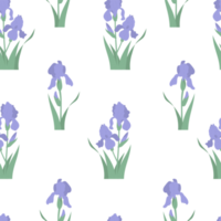 Floral seamless pattern. Flower iris with buds and leaves png