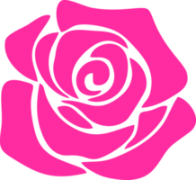 rosa rosa fiore disegni modelli png