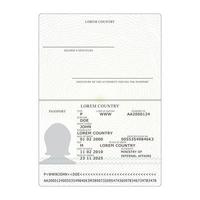 vector de pasaporte internacional. plantilla en blanco de página de pasaporte abierta. Documento de identificación. negocio, concepto de turismo.