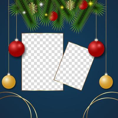 Christmas Photo Frame Pine Branch Christmas Ball
