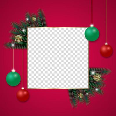 About Elegant Christmas Photo Frame Red Flower Graphic