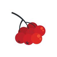 Rowan branch berries icon, flat style vector