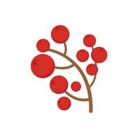 Rowan branch icon, flat style vector