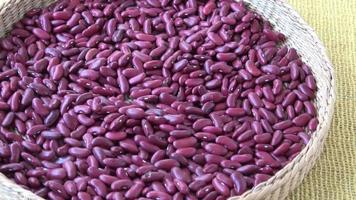 Red long bean seeds in basket video