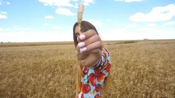 un' giovane ragazza è in piedi nel un' campo e tratti nel il mani per il telecamera Grano spighetta vicino su video