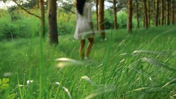 sötnos ung brunett i vit klänning gående i de skog video