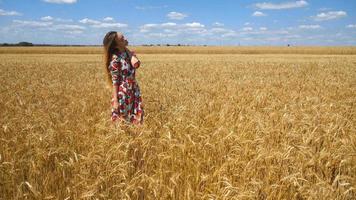 bellissimo ragazza in piedi nel un' Grano campo, sorridente e si raddrizza il capelli contro il cielo video