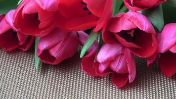 underbar röd vår tulpaner på de tabell. färsk blommor video