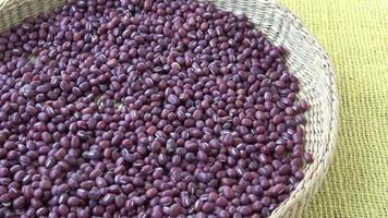 Fresh adzuki beans. Red beans in basket Vigna angularis video