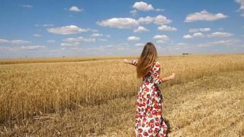 schattig jong meisje in een jurk staand in een veld- en zet bubbels in langzaam beweging video