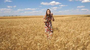 contento giovane ragazza sta vicino Grano i campi e puskat sapone bolle nel lento movimento video