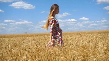 Schönes Mädchen geht an einem sonnigen Tag in das Weizenfeld und glättet die Haare video