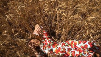 una joven encantadora en un campo de trigo mira a la cámara corrige el cabello y sonríe video