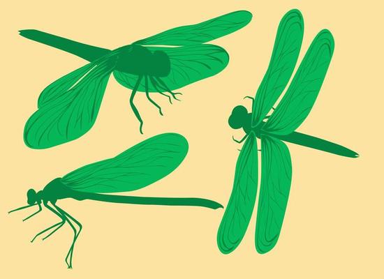 set green dragonfly symbol elements for design