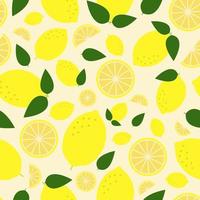 Summer pattern with oranges on a yellow background vector