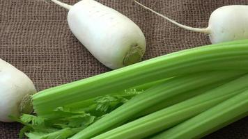 Fresh vegetables radish celery. Uncooked vegetables video