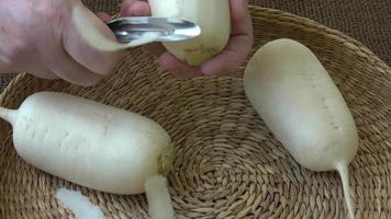 Japanese white radish. Healthy food. video