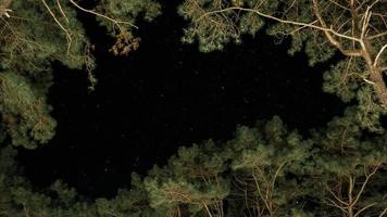 lapso de tiempo de cielos estrellados nocturnos con fondo de movimiento de estrellas centelleantes o parpadeantes en el bosque. movimiento de constelaciones estrelladas y estrellas giratorias en el cielo nocturno de invierno visible entre los árboles. video