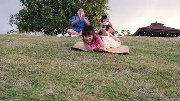 Glückliche Schwestern, die im Park spielen, rutschen vom grasbewachsenen Hügel herunter und sitzen auf einem Karton. glückliche kinder, die im sommer draußen spielen. familie verbringt zeit zusammen im urlaub. video