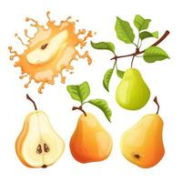 fruit pear set cartoon vector illustration