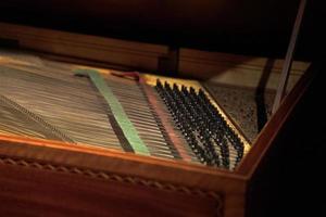 harpsichord chords detail close up photo