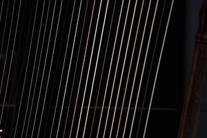harp strings detail close up isolated on black photo