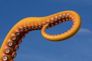 amusement park octopus tentacle photo