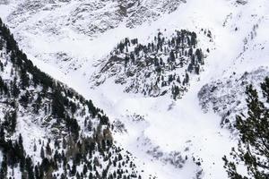 snow hiking forest panorama landscape mountains of Santa Caterina valfurva italian Alps in winter photo