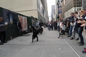 NEW YORK, USA - MAY 7 2019 - Break dancer in 5th avenue photo