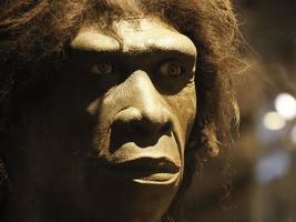 homo erectus cabeza humana cráneo foto