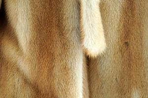 animal fur clothes detail photo