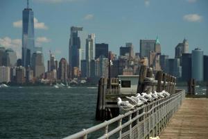 new york view cityscape from hudson river liberty island with seagulls photo