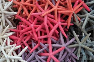 many colors sea stars in a shop photo