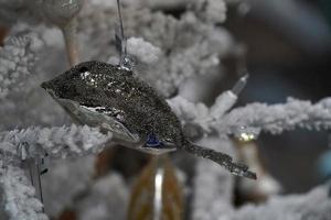 christmas tree shell and marine life for sale in a shop photo