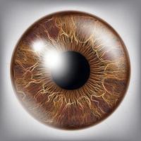 vector de iris del ojo humano. Ilustración de globo ocular realista 3d