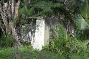 abandoned resort in the tropical jungle photo