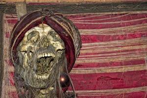 pirate skull mummy photo