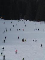 muchos esquiadores esquiando en dolomitas gardena valle montañas nevadas foto