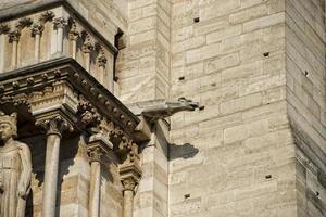 notre dame paris statues and gargoyles photo