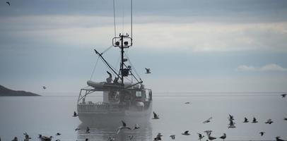 Ship in the fog background photo