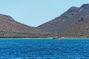 baja california coast rocks and desert photo