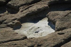 saint peter pools Malta rock formation hole on rocks photo