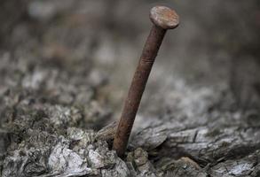 Rusted iron spike on wood macro close up photo