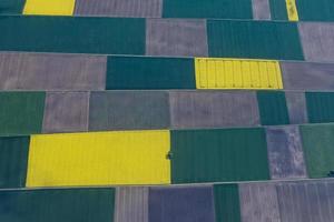 farmed fields aerial view photo