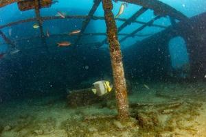 divers exploring a shipwreck underwater photo