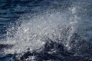 sea surface bubbling for a underwater pipeline gas leaking like the nord stream photo