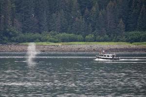 Ballena jorobada que sopla cerca de observar el barco en Glaciar Bay Alaska foto