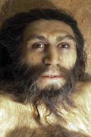 Neanderthal prehistoric man lucy style evolution display photo