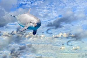 delfín en el fondo de fantasía de cielo nublado foto
