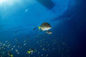 boat ship from underwater blue ocean with sun rays photo